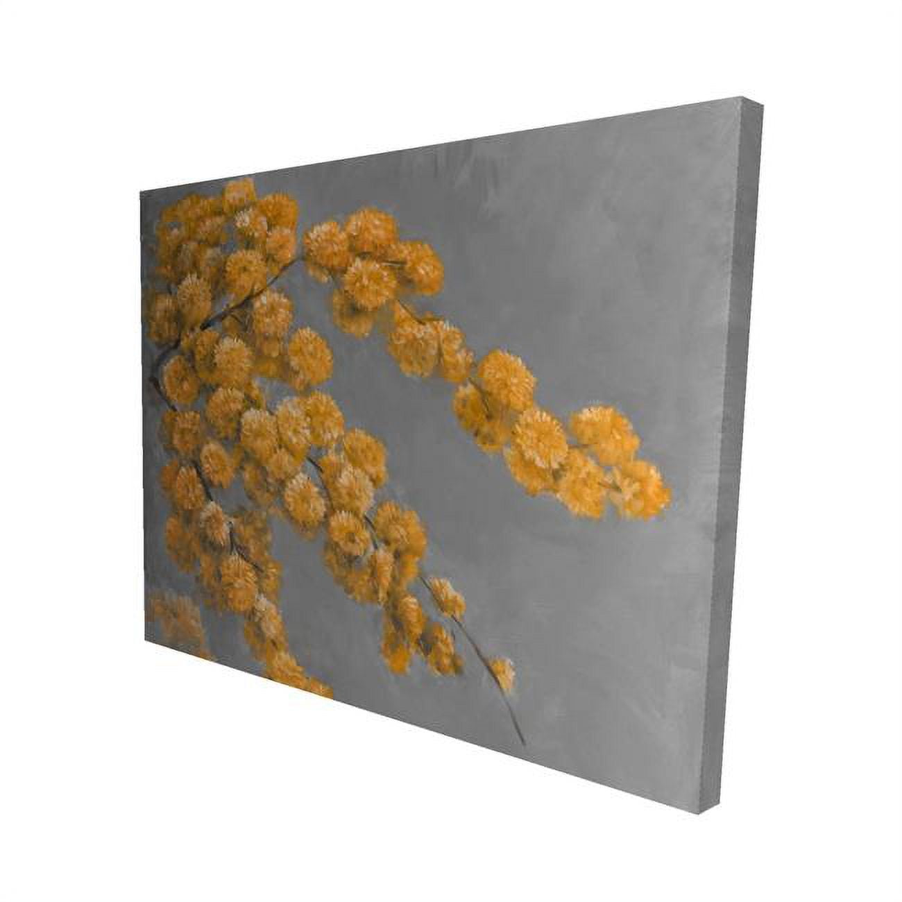 16 x 20 in. Golden Wattle Plant-Print on Canvas