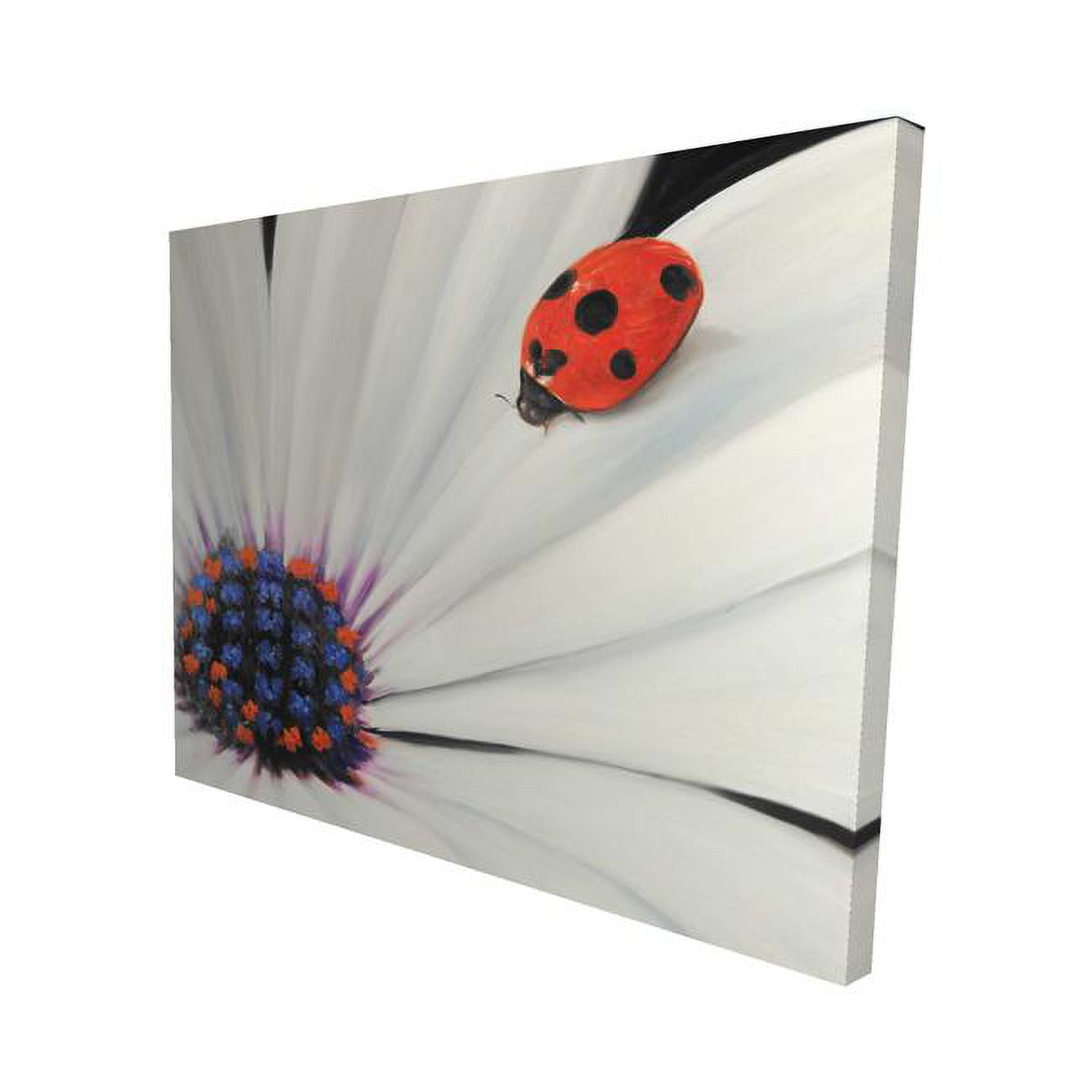 16 x 20 in. White Daisy & Ladybug-Print on Canvas
