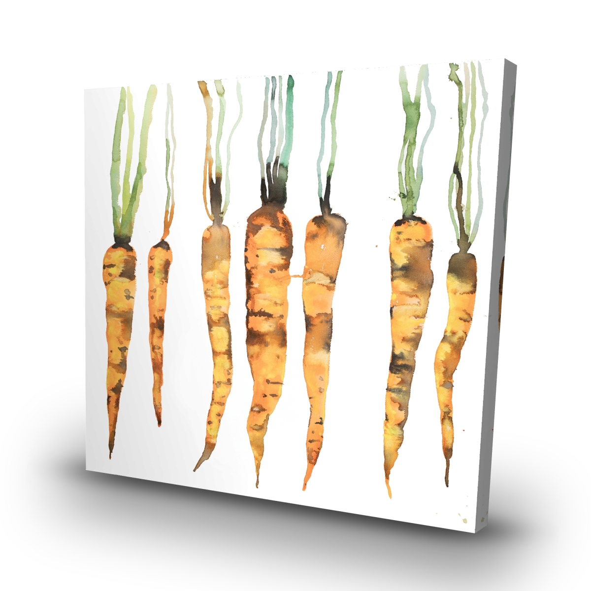 C1RC32329DKW2R 32 x 32 in. Freshly Picked Carrots - Botanical Kitchen Canvas for Decor