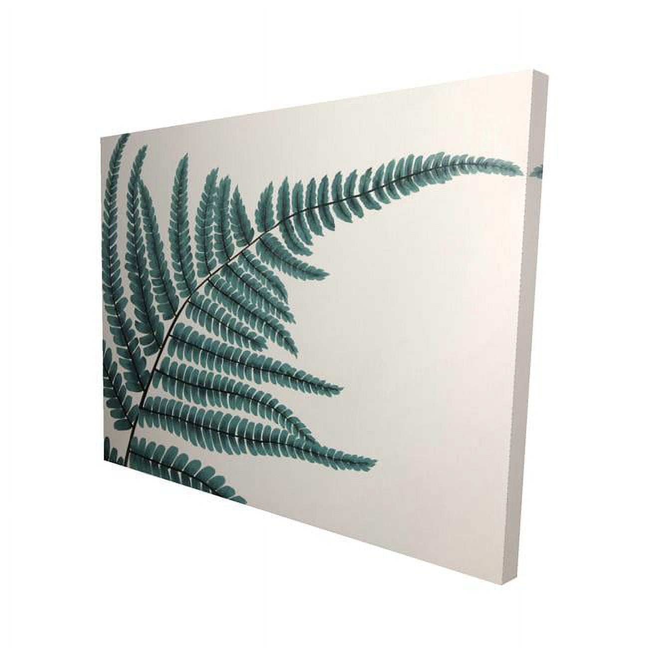 16 x 20 in. Fern-Print on Canvas