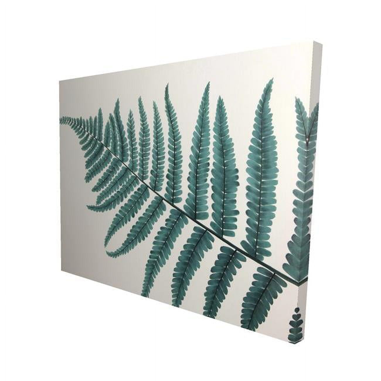 16 x 20 in. Beautiful Fern-Print on Canvas