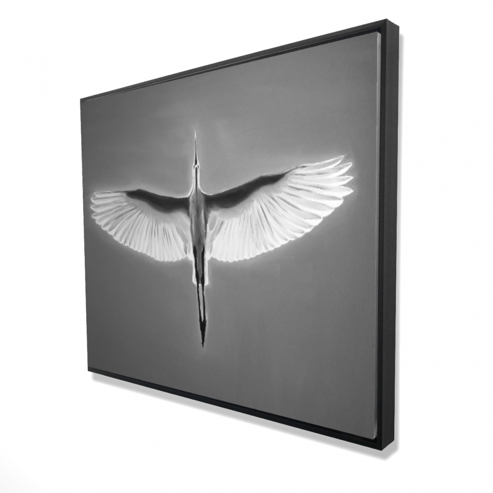 2081-4860-AN445 48 x 60 in. Great Blue Heron in Flight - Bird Black Framed Canvas Decor