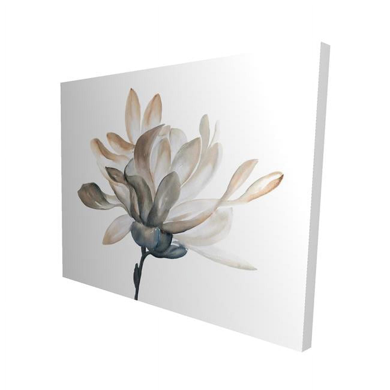 16 x 20 in. Softness-Print on Canvas