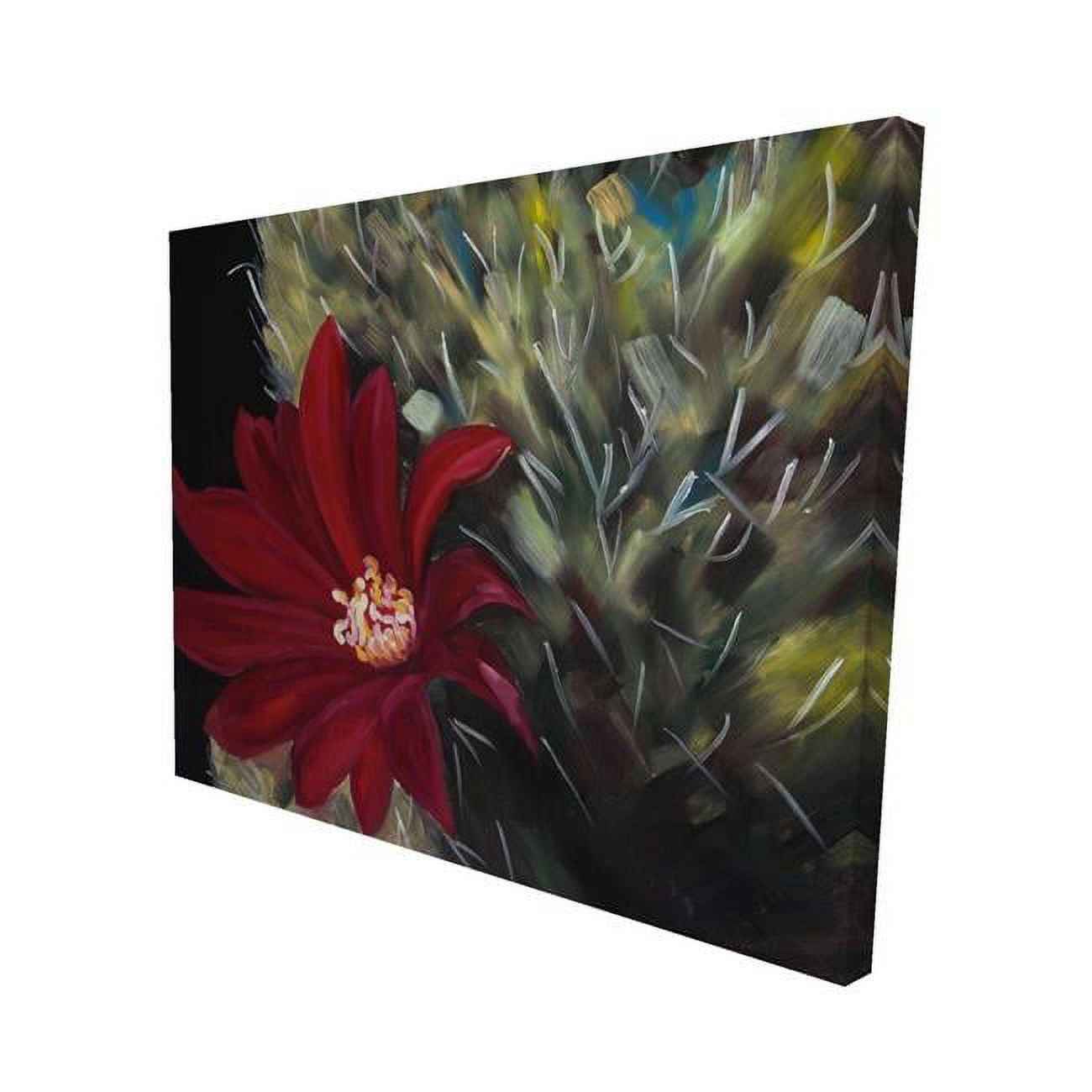 16 x 20 in. Echinopsis Red Cactus Flower-Print on Canvas