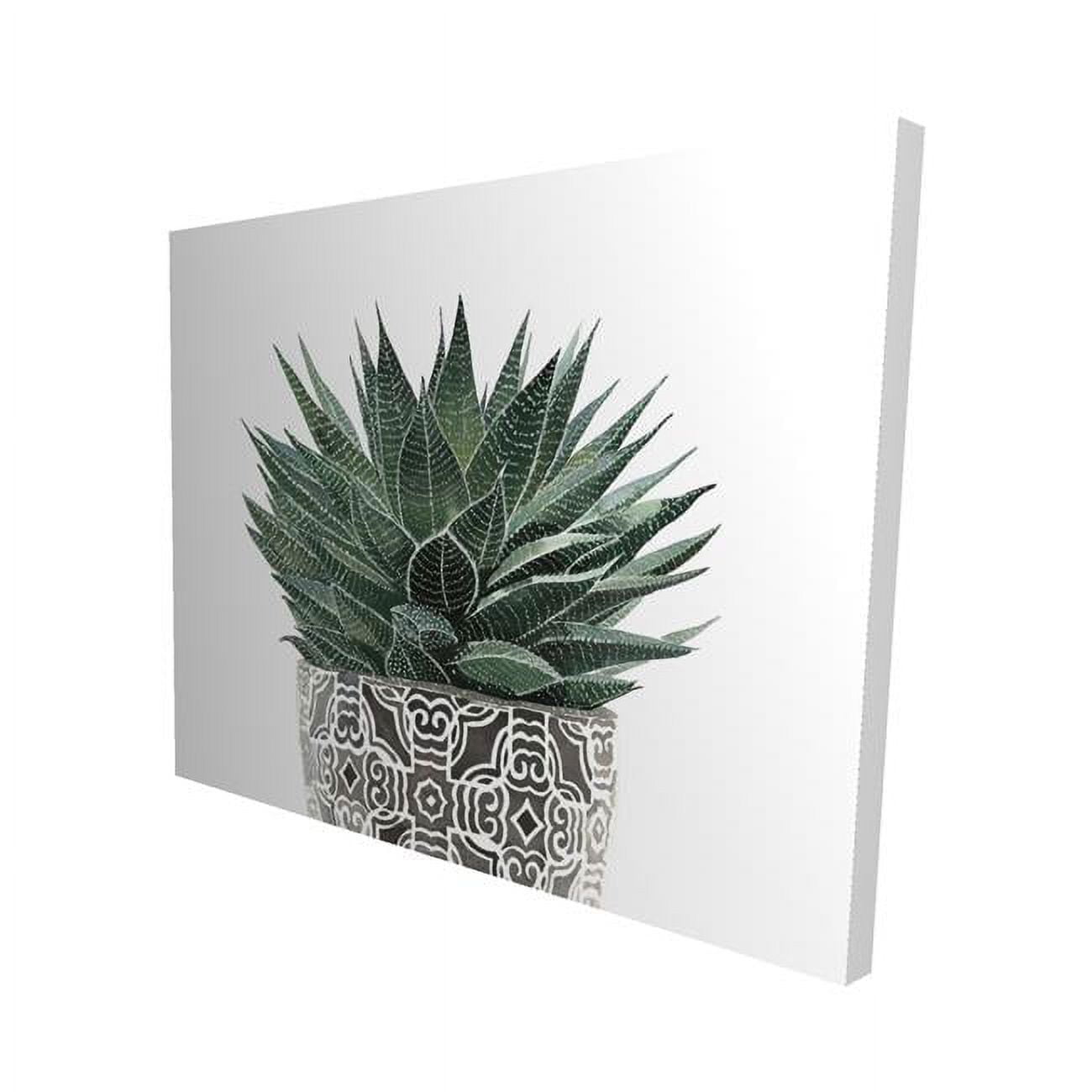 16 x 20 in. Zebra Plant Succulent-Print on Canvas