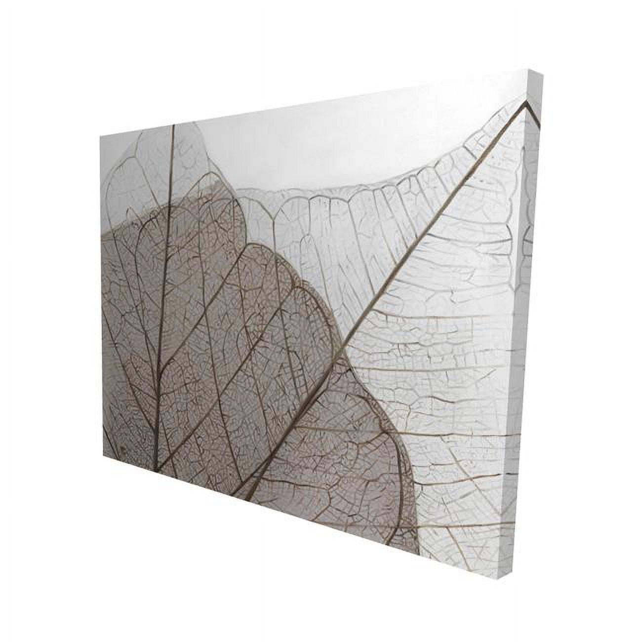 16 x 20 in. Translucent Dried Leaves-Print on Canvas