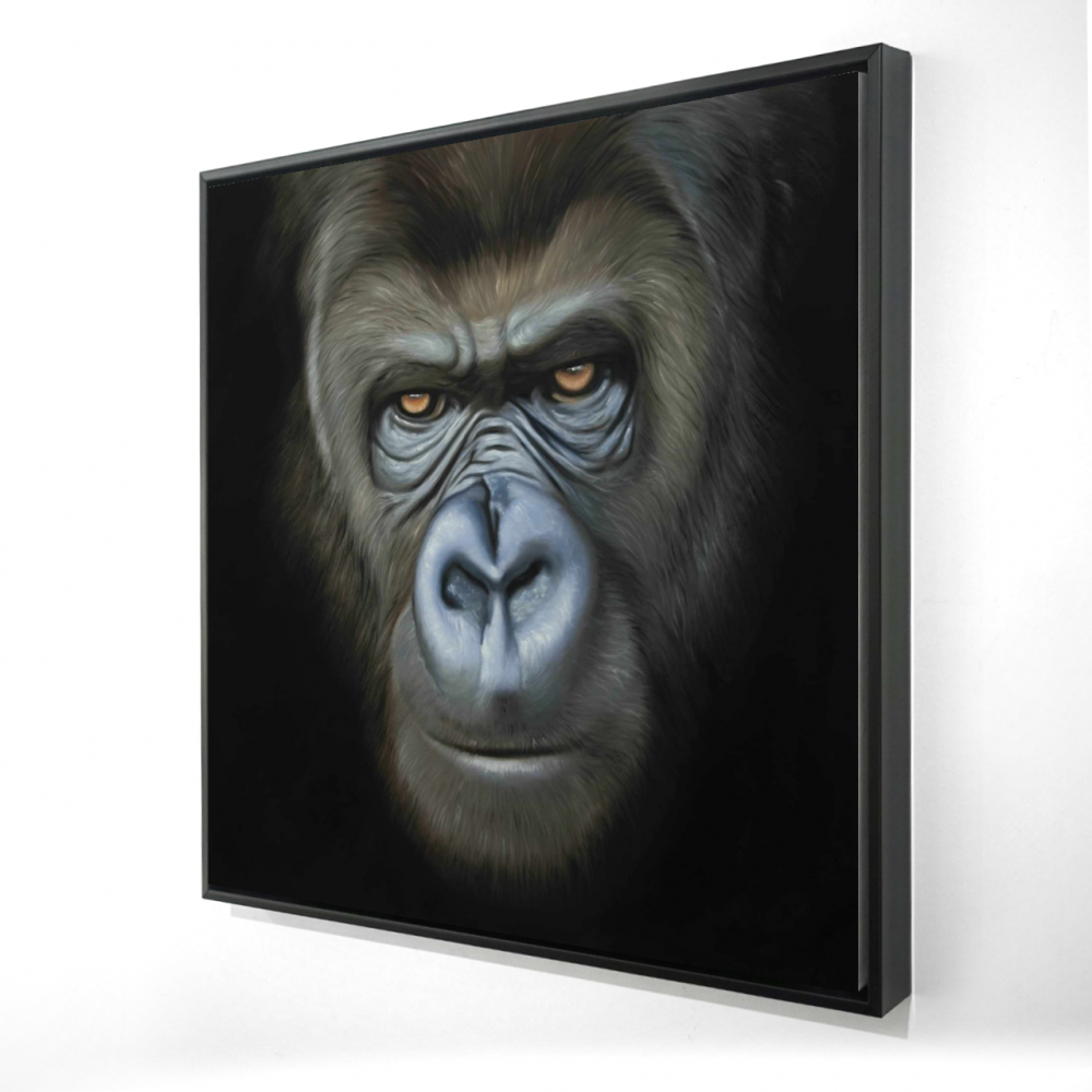 2081-3636-AN462 36 x 36 in. Gorilla Face - Office Animals Framed Canvas for Home Decor