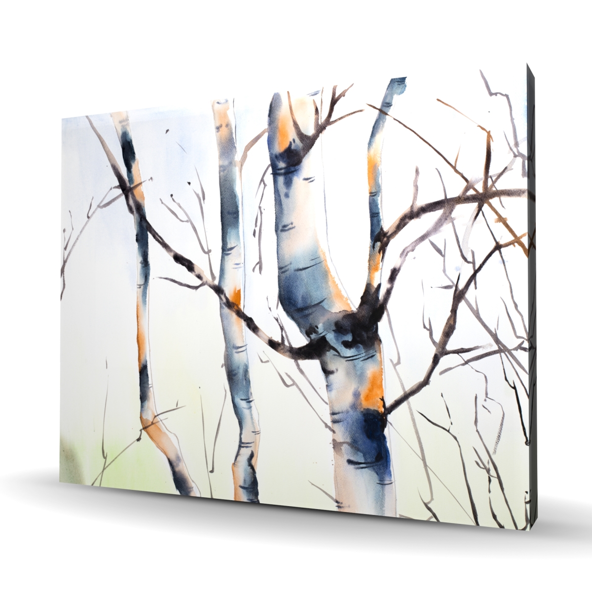 C1RC4860FD3A0T 48 x 60 in. Three Small Birch Trees - Landscapes Office Canvas Art Decor