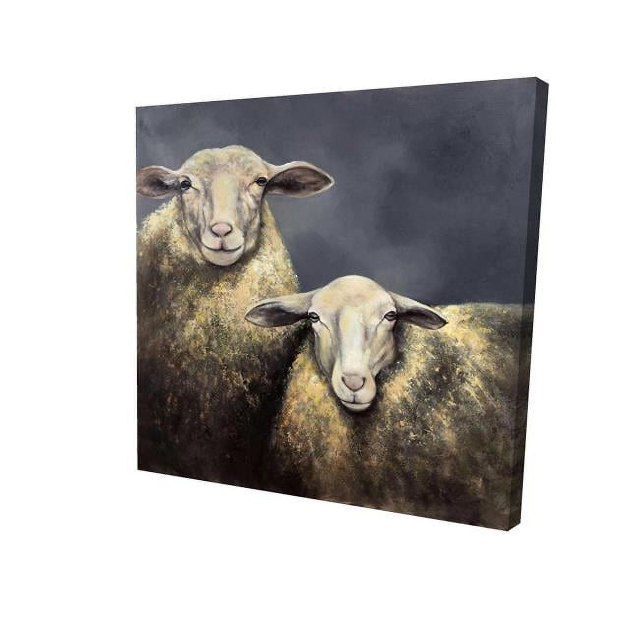 32 x 32 in. Two Sheeps-Print on Canvas