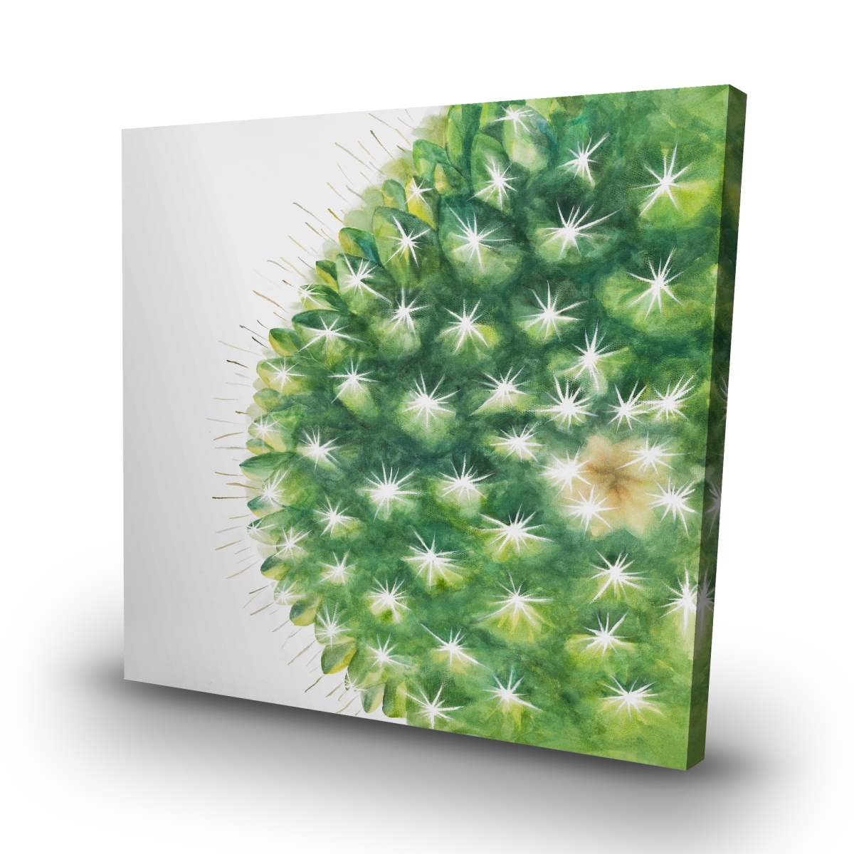 C1RC3232JS0X48 32 x 32 in. Watercolor Mini Cactus - Bedroom Botanical Canvas Decor