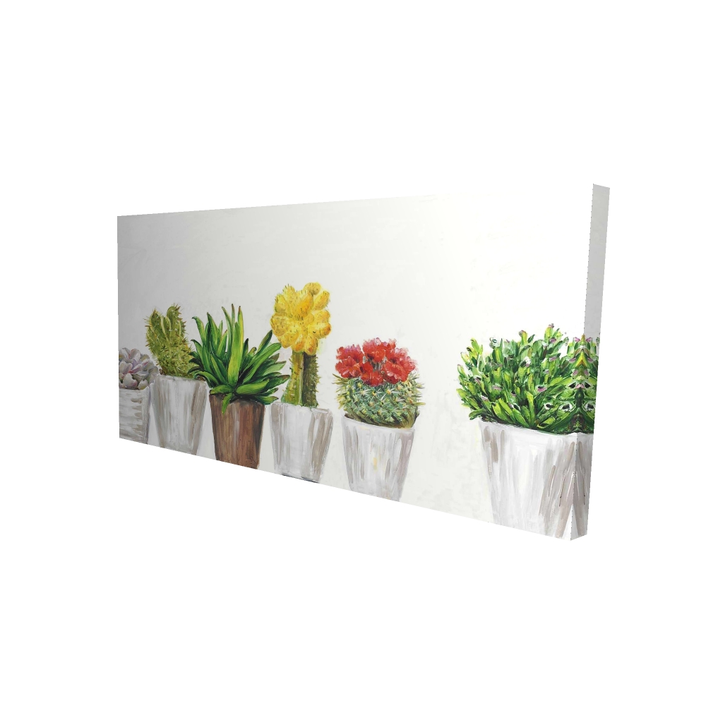 2080-2448-FL115-1 24 x 48 in. Small Cactus & Succulents - Kitchen Exotic Canvas Decor