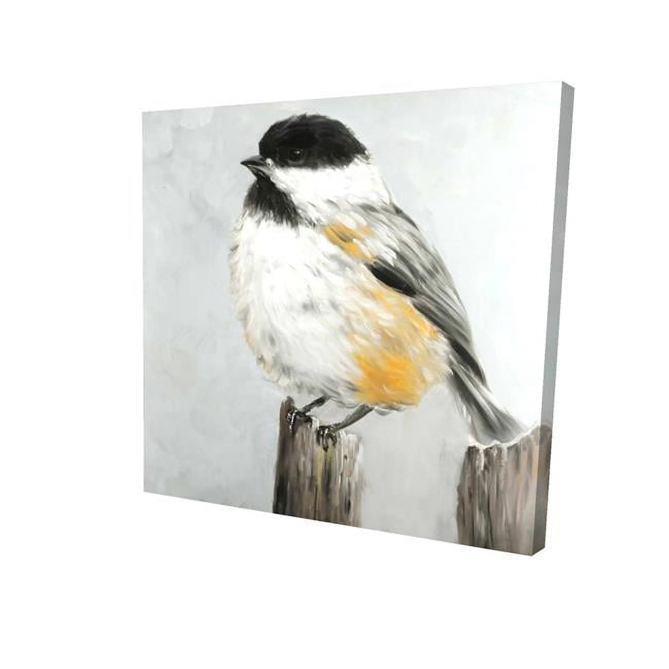 32 x 32 in. Coal Tit Bird-Print on Canvas