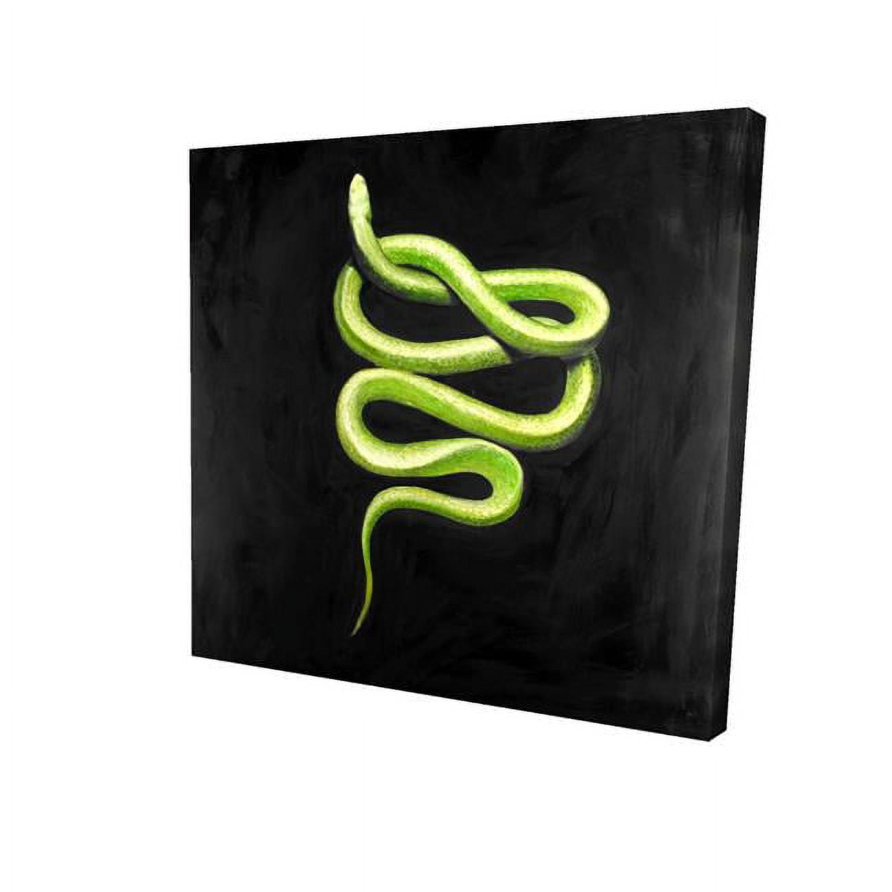 32 x 32 in. Green Snake-Print on Canvas