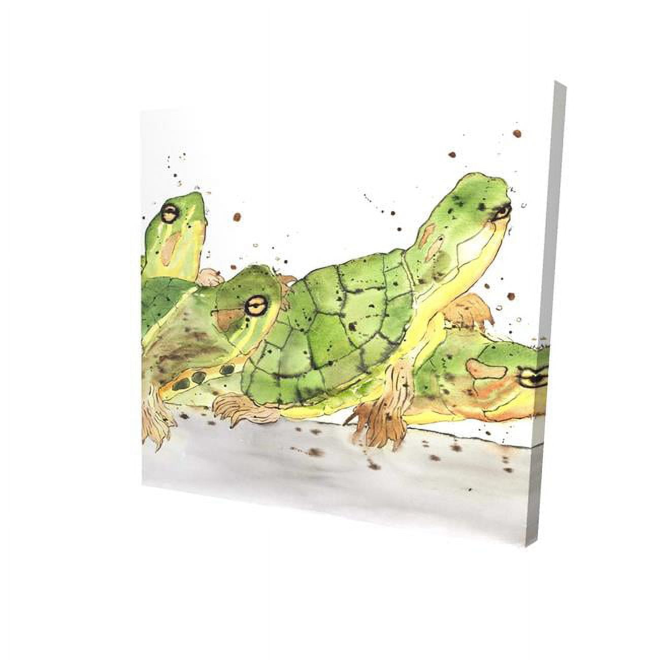 32 x 32 in. Small Aquatic Turtles-Print on Canvas