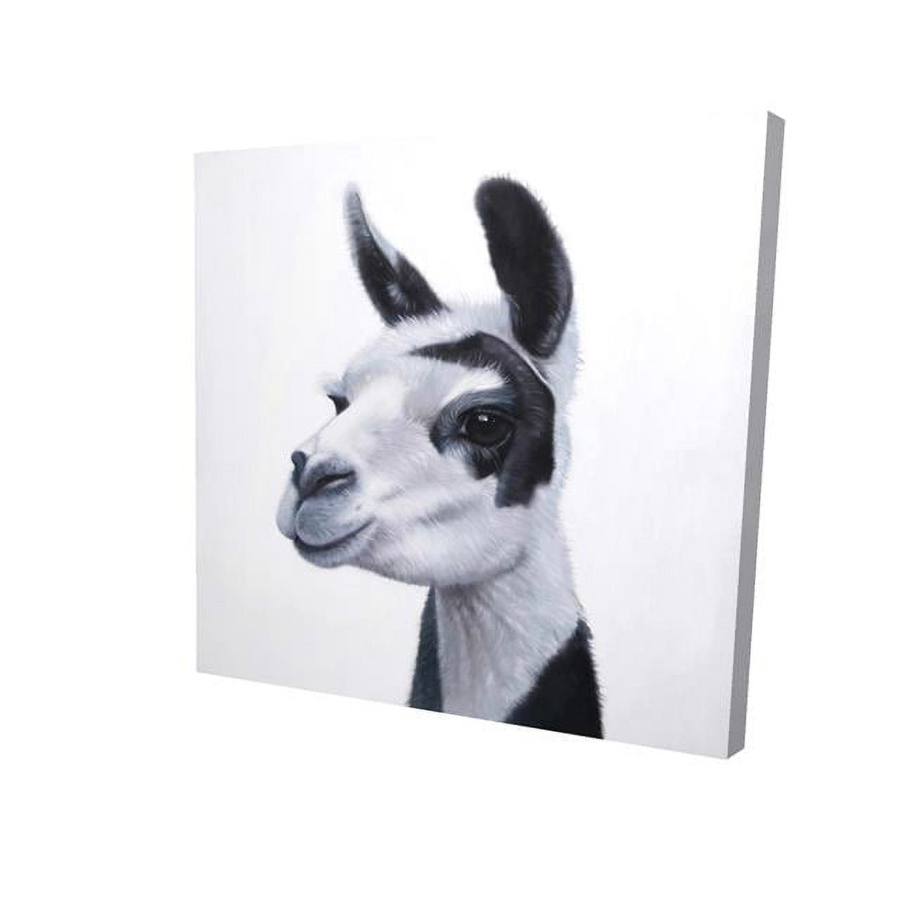 32 x 32 in. Black & White Lama-Print on Canvas
