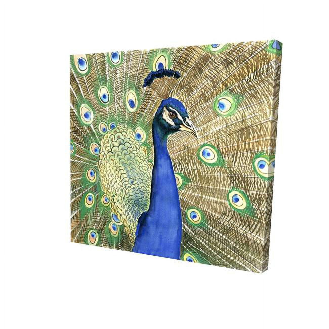 32 x 32 in. Peacock-Print on Canvas
