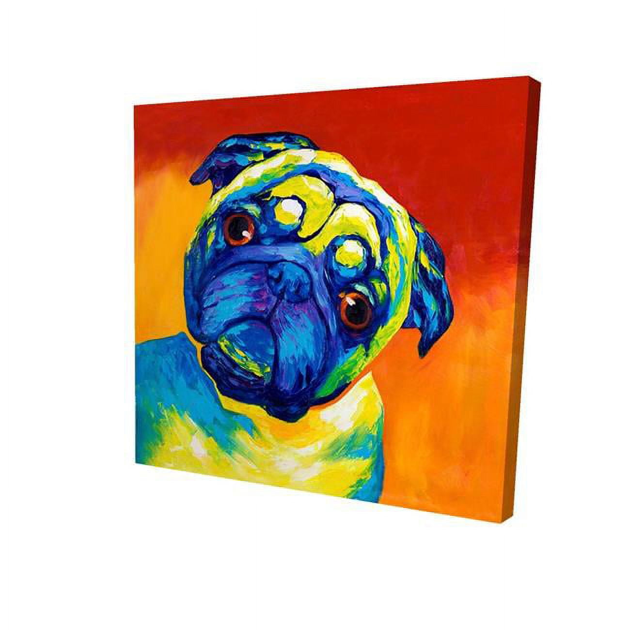 32 x 32 in. Curious Pug-Print on Canvas