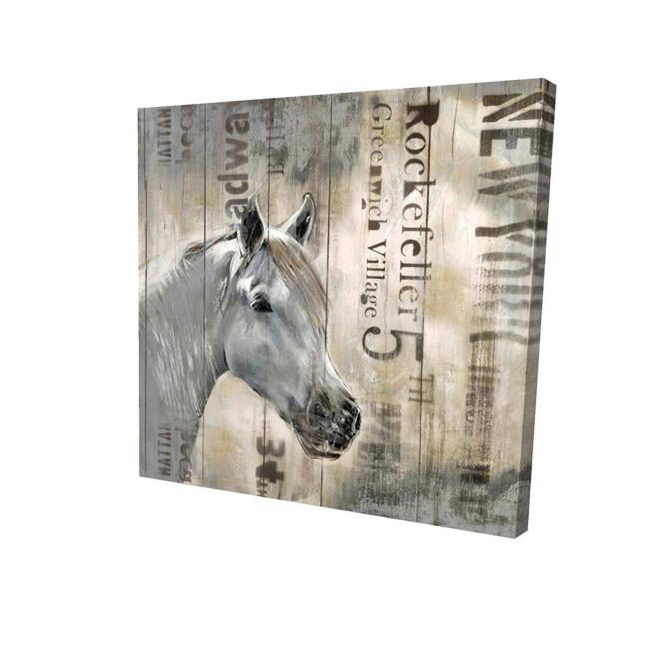 32 x 32 in. Rustic White Horse-Print on Canvas