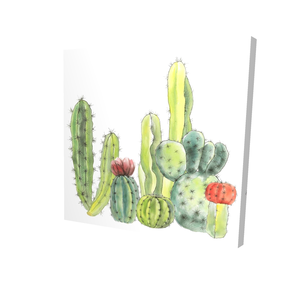 2080-3636-FL271 36 x 36 in. Small Cactus - Cactus Green Canvas for Home Decor