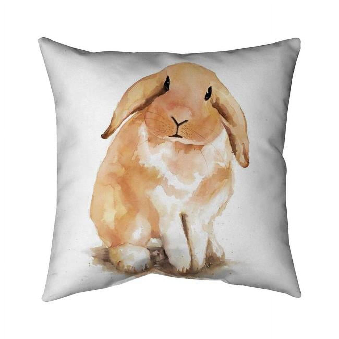 18 x 18 in. Lop-Rabbit-Double Sided Print Indoor Pillow