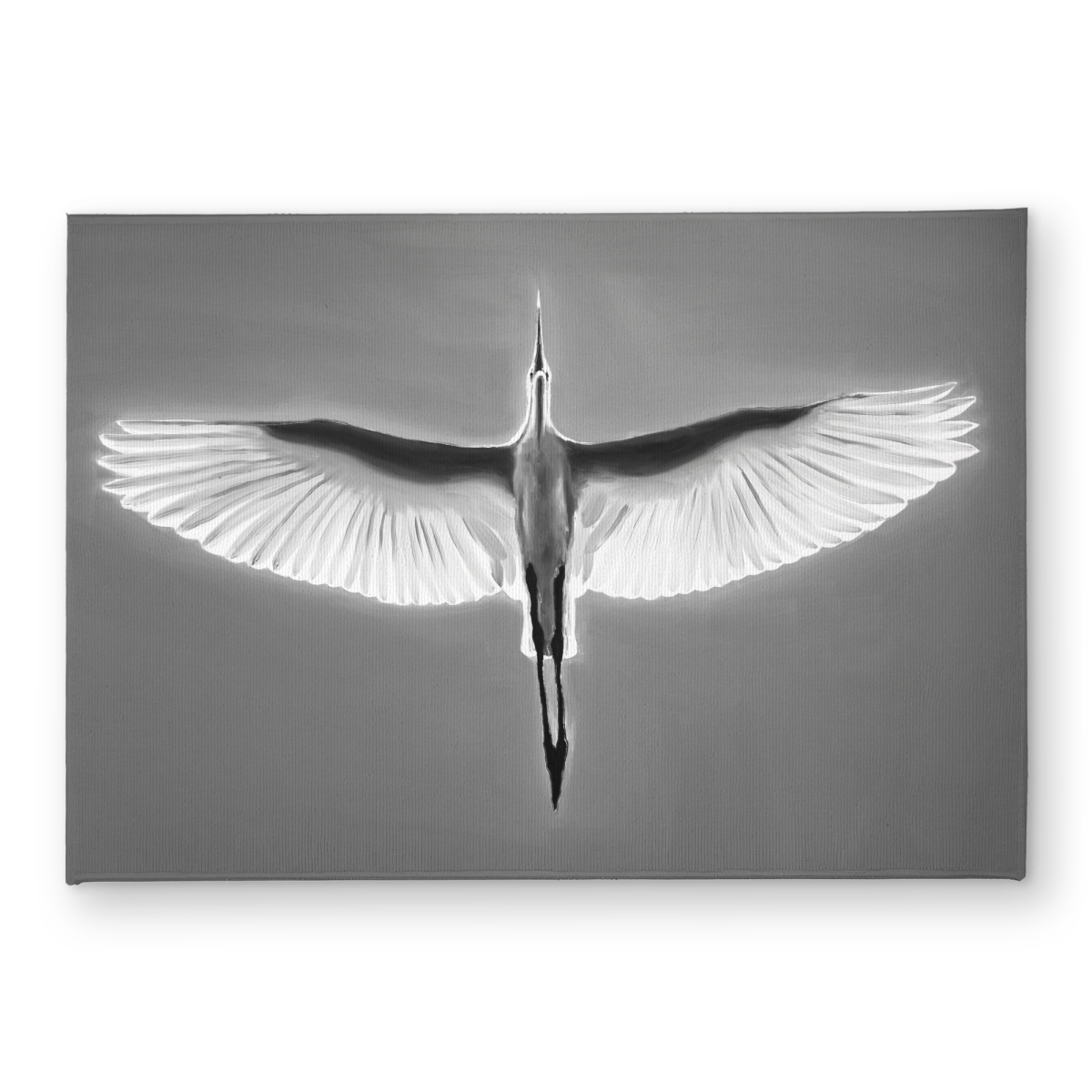 CODM17243U1JRH 17 x 24 in. Great Blue Heron in Flight Door Mat - Black & White Decor