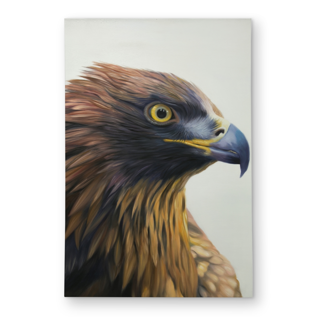 C1ROAR46BSE2H3 4 x 6 ft. Brown-Headed Eagle Rug - Hyperrealist Bedroom Decor - Outdoor - Rectangle