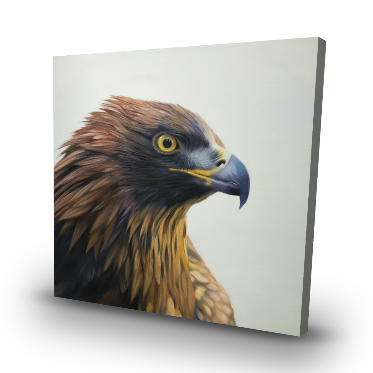 C1RC3232NRVM4L 32 x 32 in. Brown-Headed Eagle Canvas - Elegant Bird Office Decor
