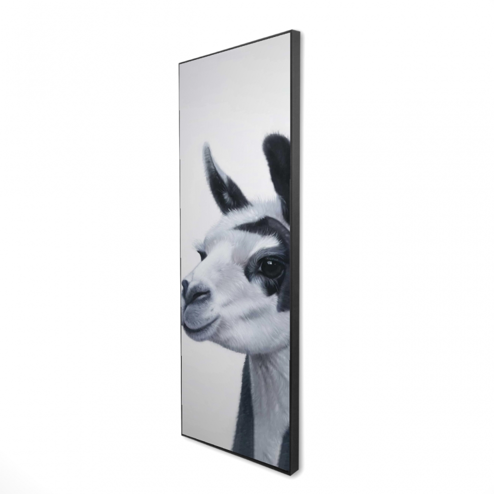 2081-6020-AN471 20 x 60 in. Black & White Lama - Black Framed Canvas Home Decor