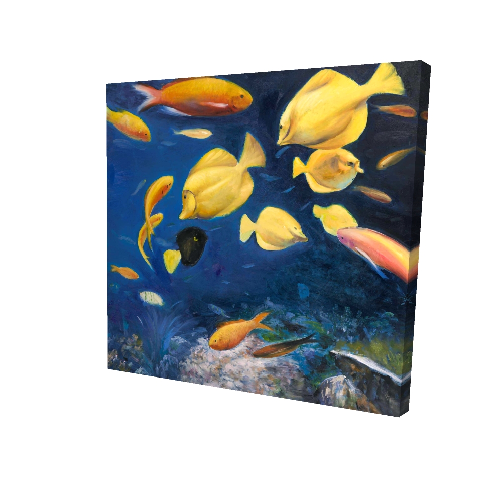 2080-3636-AN170 36 x 36 in. Fish Under the Sea - Living Room Animals Canvas Decor