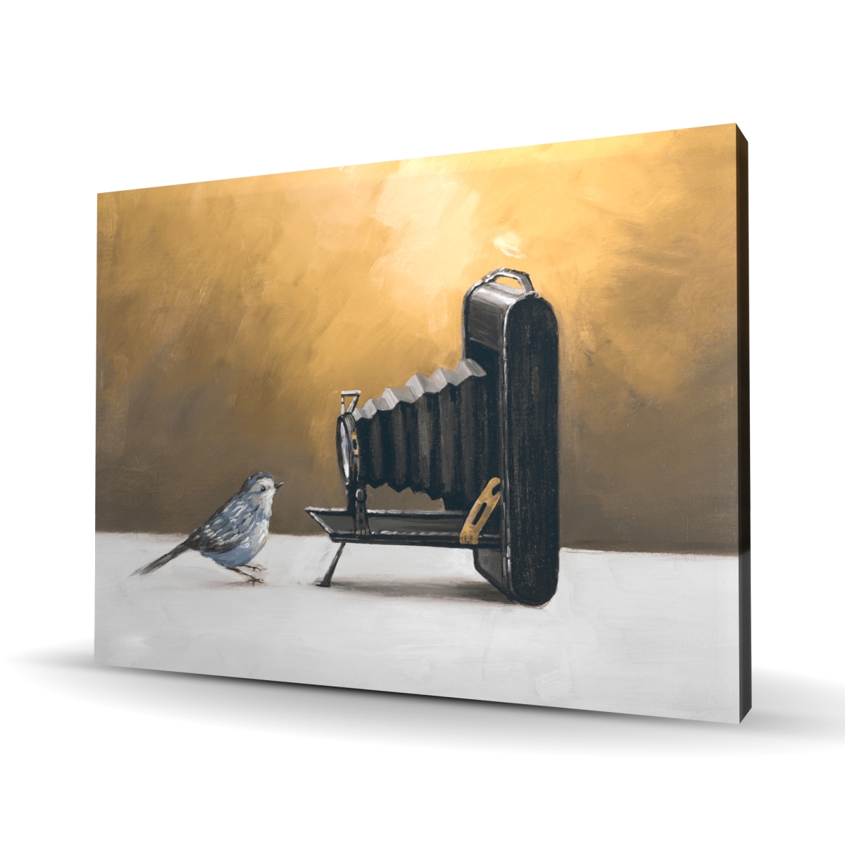 C1RC3648DAMUUZ 36 x 48 in. Old Camera with Bird - Feathers Blue Canvas for Home Decor
