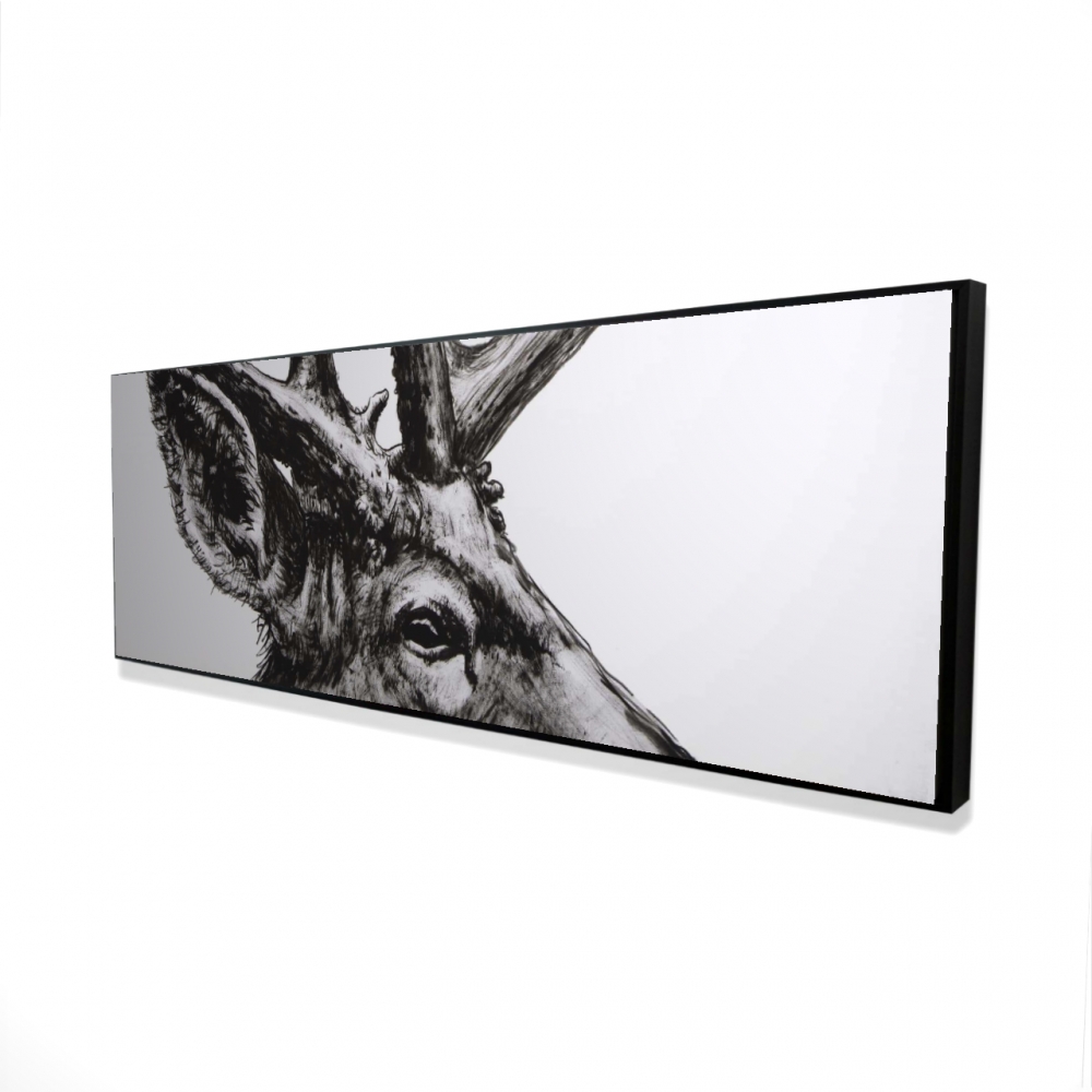 2081-2060-AN474 20 x 60 in. Roe Deer Plume - Rustic Framed Canvas Home Decor Art