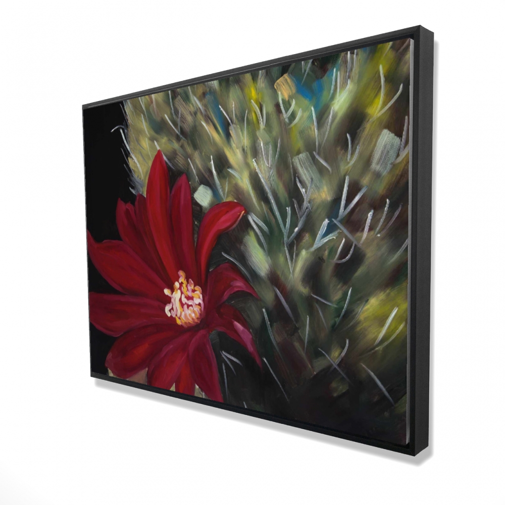 2081-3648-FL320 36 x 48 in. Echinopsis Red Cactus Flower - Framed Canvas Home Decor