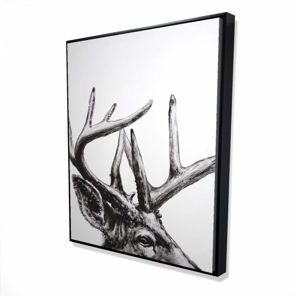 2081-6048-AN474 48 x 60 in. Roe Deer Plume - Gray Rustic Framed Canvas - Home Decor