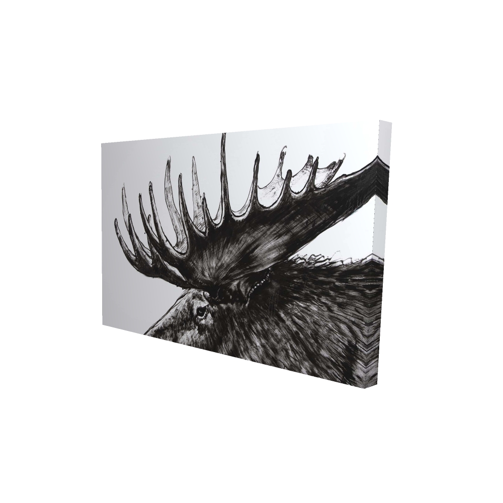 2080-2436-AN473 24 x 36 in. Moose Plume - Rustic White Canvas Home Decor Art Print