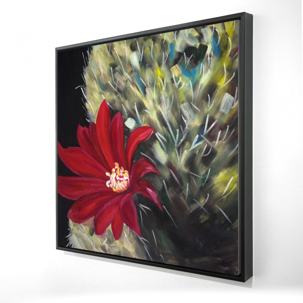2081-3636-FL320 36 x 36 in. Echinopsis Red Cactus Flower - Framed Canvas Home Decor