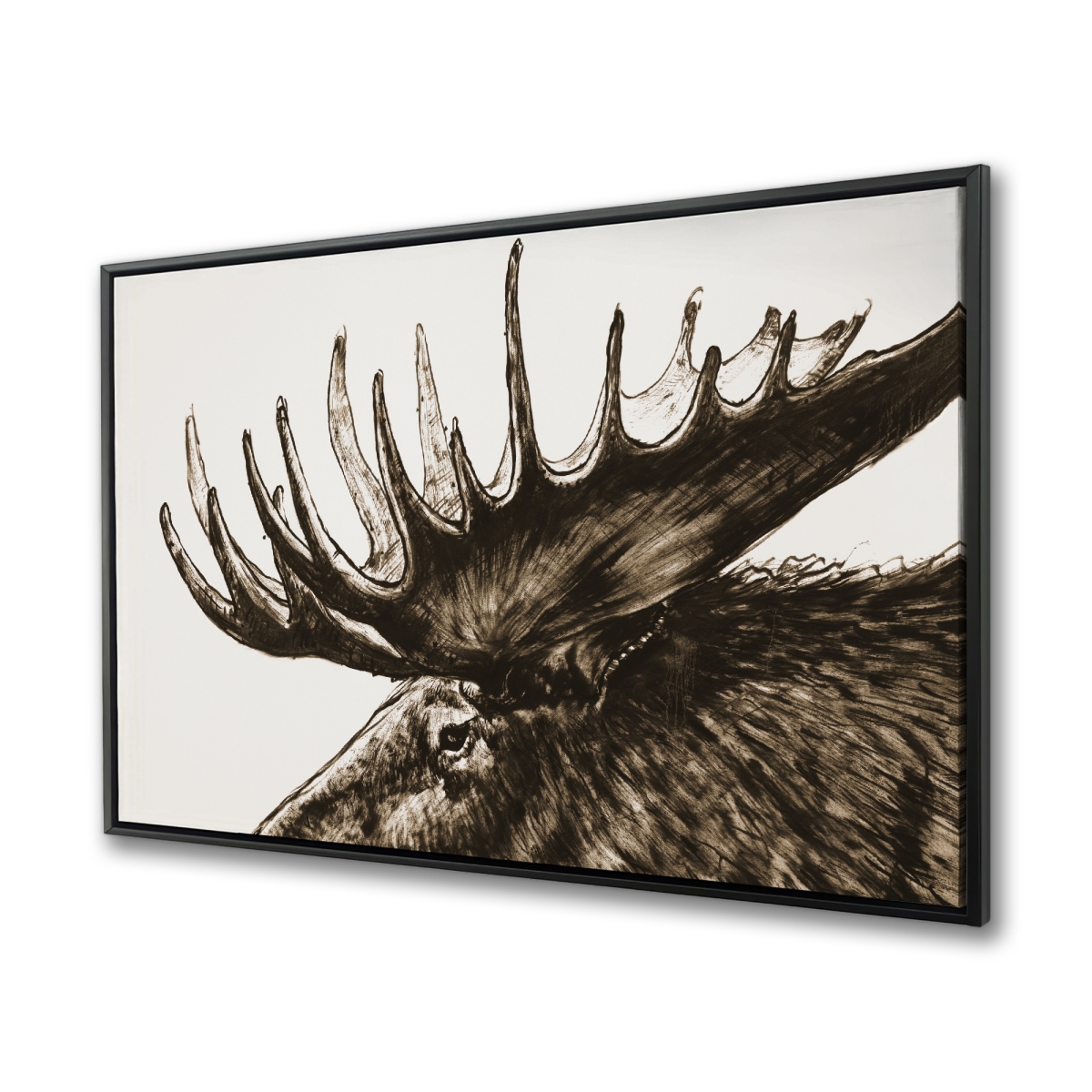 C1FC3648X92EO0 36 x 48 in. Moose Plume Sepia - Framed Canvas for Home Decor