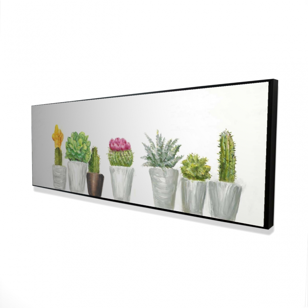 2081-2060-FL114-1 20 x 60 in. Mini Cactus & Succulents Canvas - White Framed Home Decor