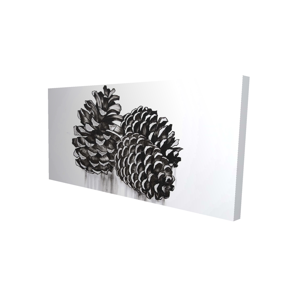 2080-2448-MI100 24 x 48 in. Three Small Pine Cones - Still Life Trees Canvas Decor