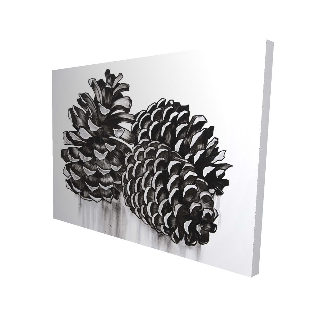2080-3648-MI100 36 x 48 in. Three Small Pine Cones - Hygge Livingroom Canvas Decor