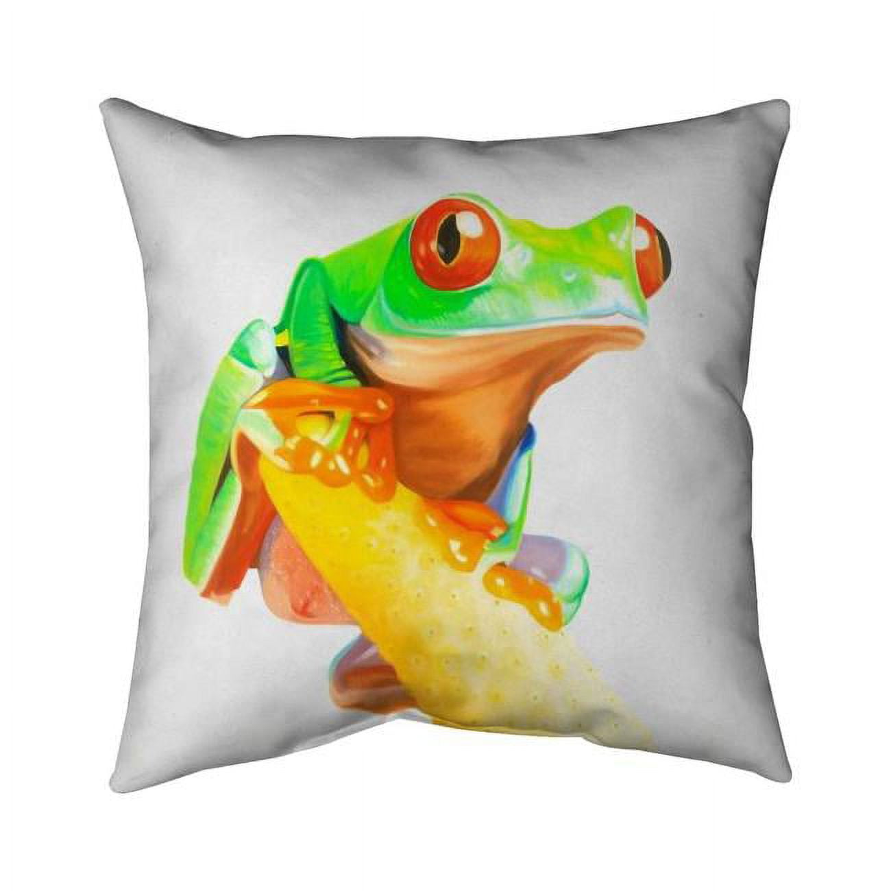 20 x 20 in. Curious Red Eyed Frog-Double Sided Print Indoor Pillow