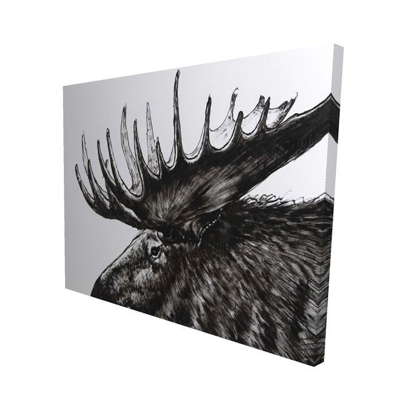 16 x 20 in. Moose Plume-Print on Canvas