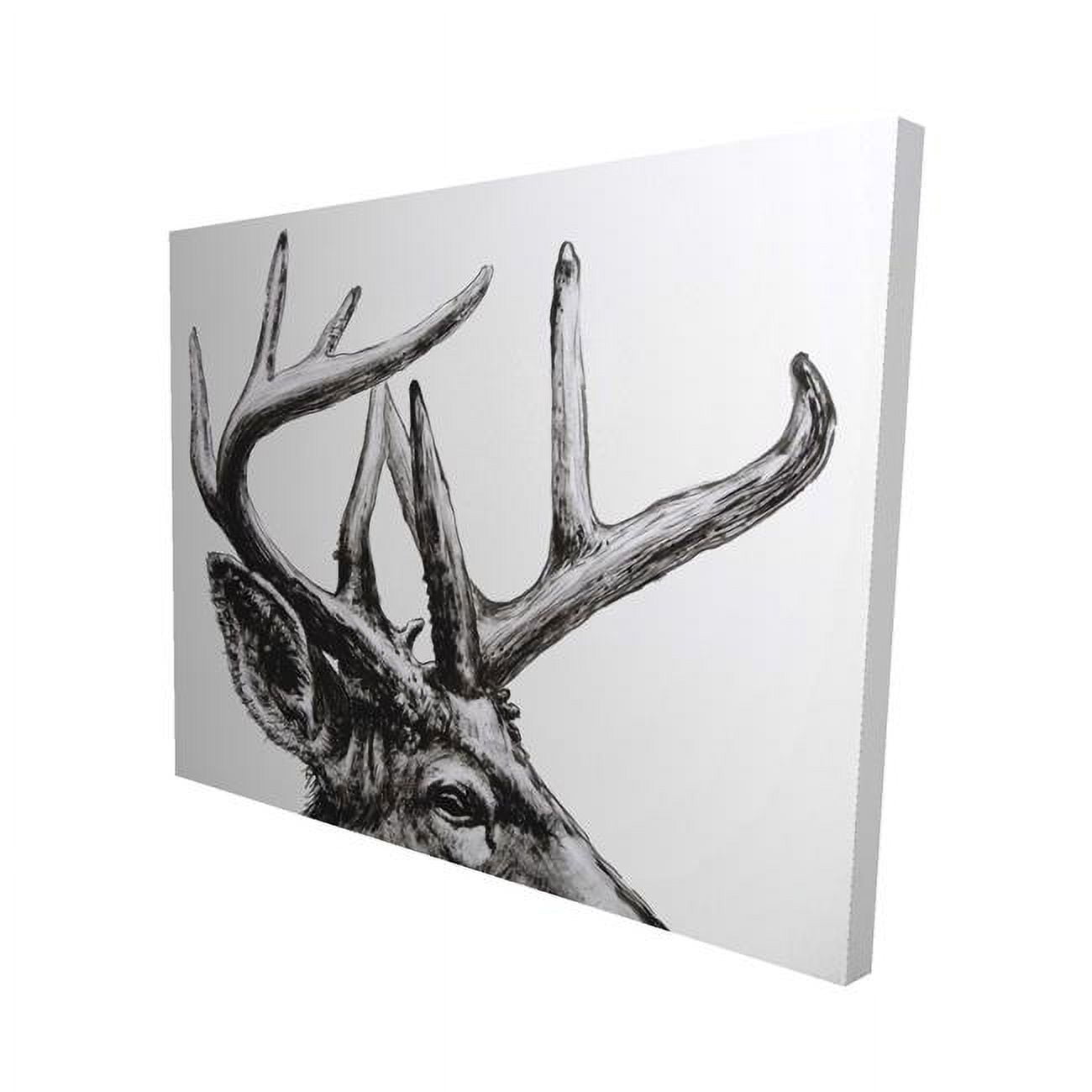 16 x 20 in. Roe Deer Plume-Print on Canvas