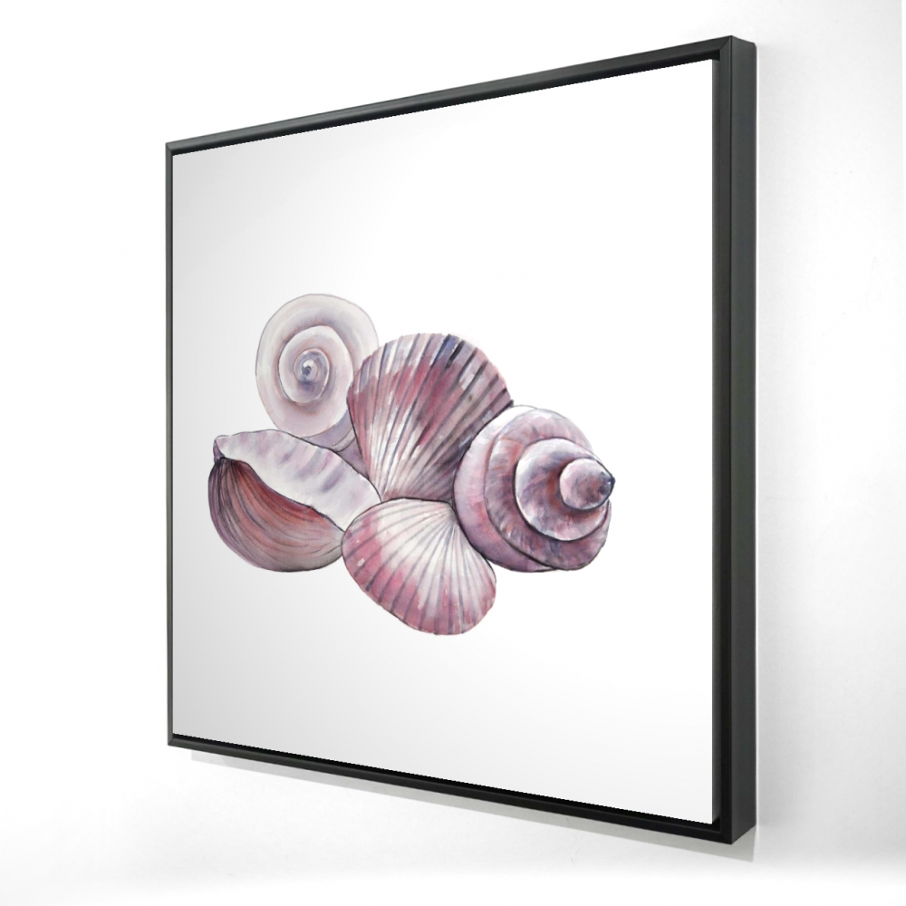 2081-3636-CO129 36 x 36 in. Seaside Shells - Pink Marine Framed Canvas for Home Decor