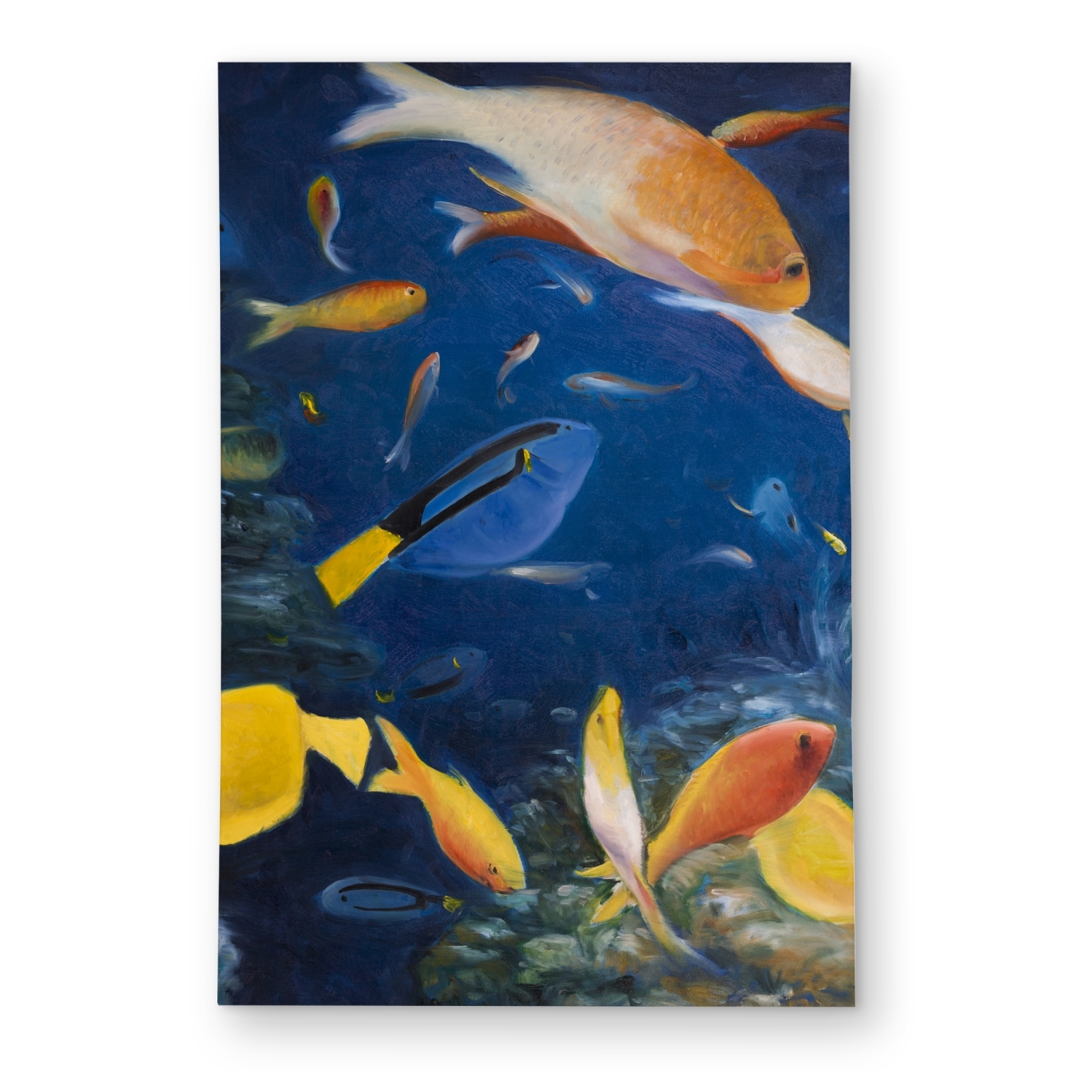 C1ROAR23YQ7HOE 2 x 3 ft. Colorful Fish Under the Sea Outdoor Area Rug - Aquatic Decor - Rectangle