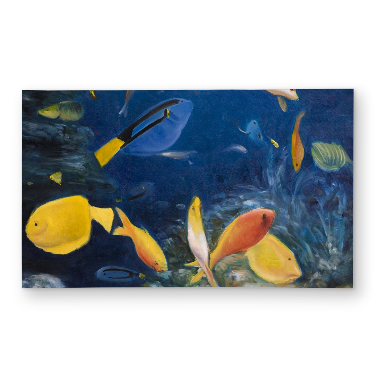 C1ROAR351PPAEK 3 x 5 ft. Colorful Fish Under the Sea - Blue Outdoor Area Rug for Home Decor - Rectangle