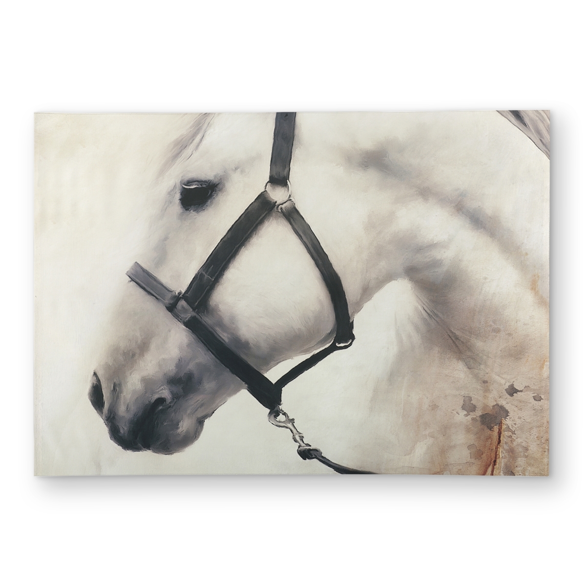 C1ROAR57AT11QO 5 x 7 ft. Darius the White Horse - Bedroom Animals Outdoor Area Rug - Rectangle