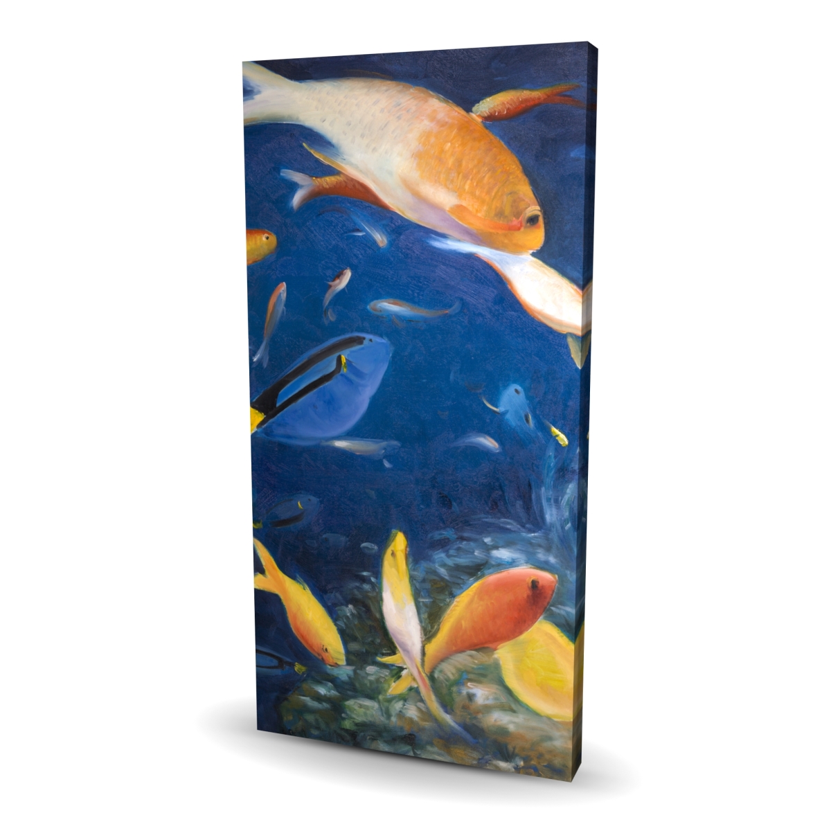 C1RC2448E9IJ8D 24 x 48 in. Colorful Fish Under the Sea - Exotic Canvas Home Decor