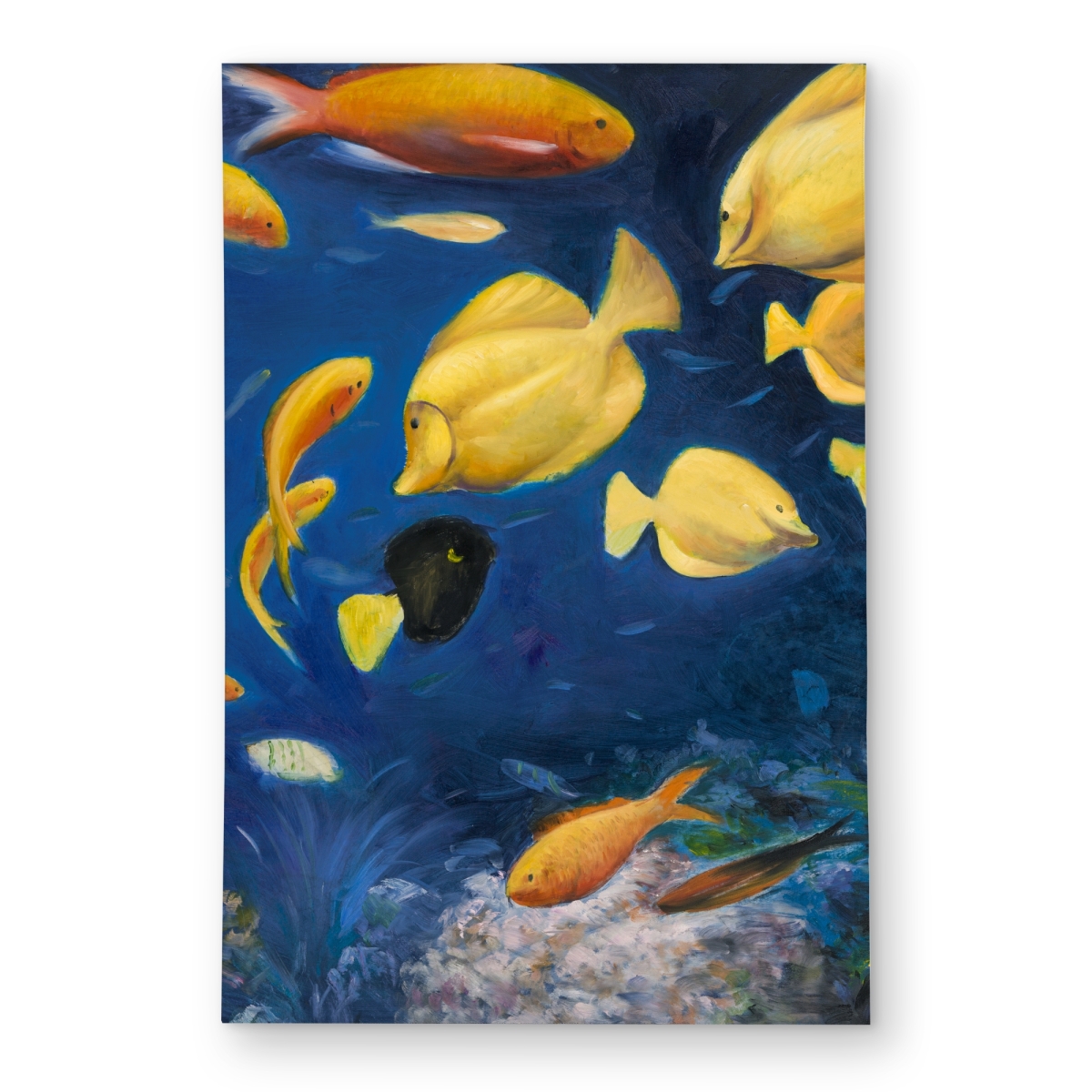 C1ROAR46HV0NDV 4 x 6 ft. Fish Under the Sea - Marine Aquatic Animals Outdoor Rug - Rectangle