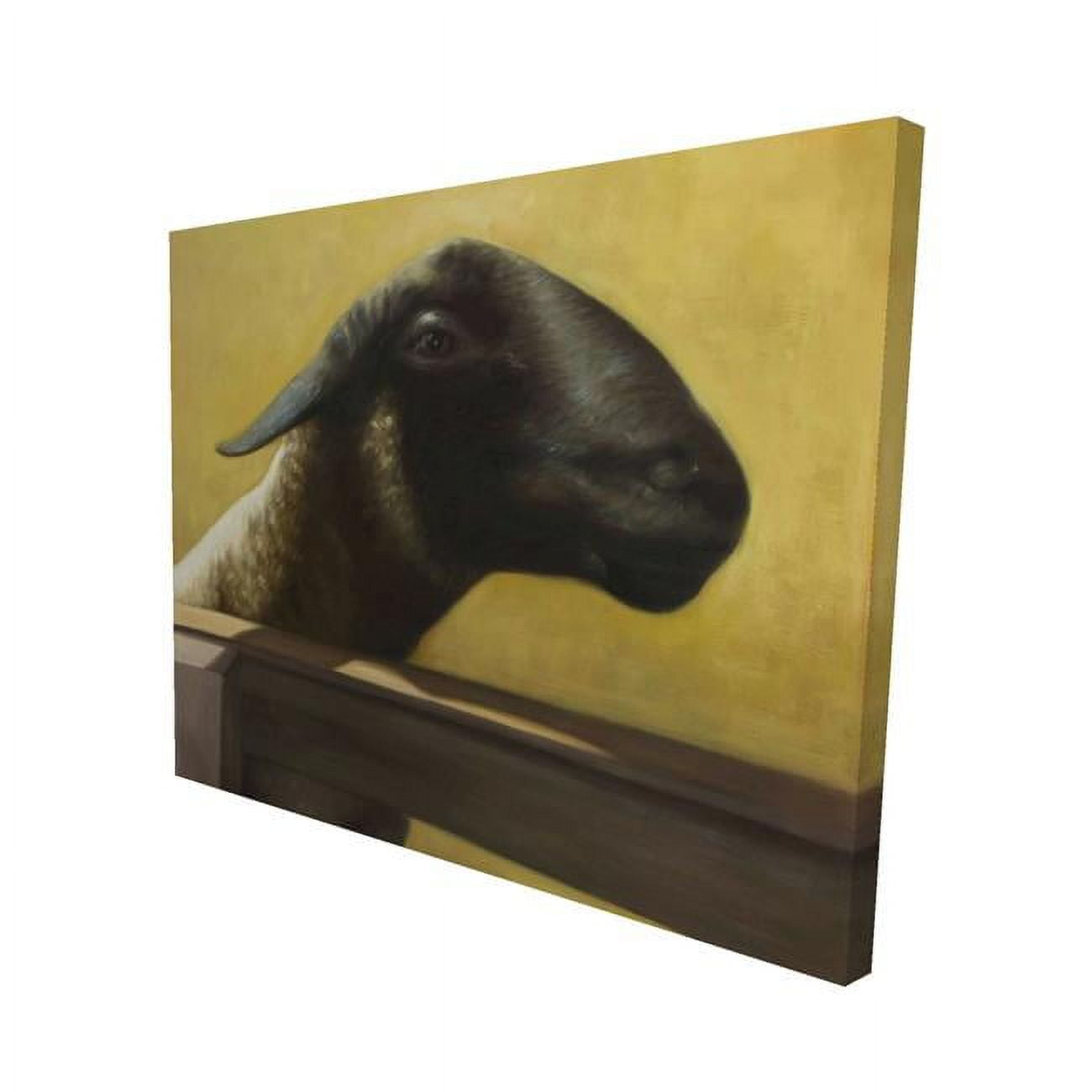 16 x 20 in. Young Ram-Print on Canvas