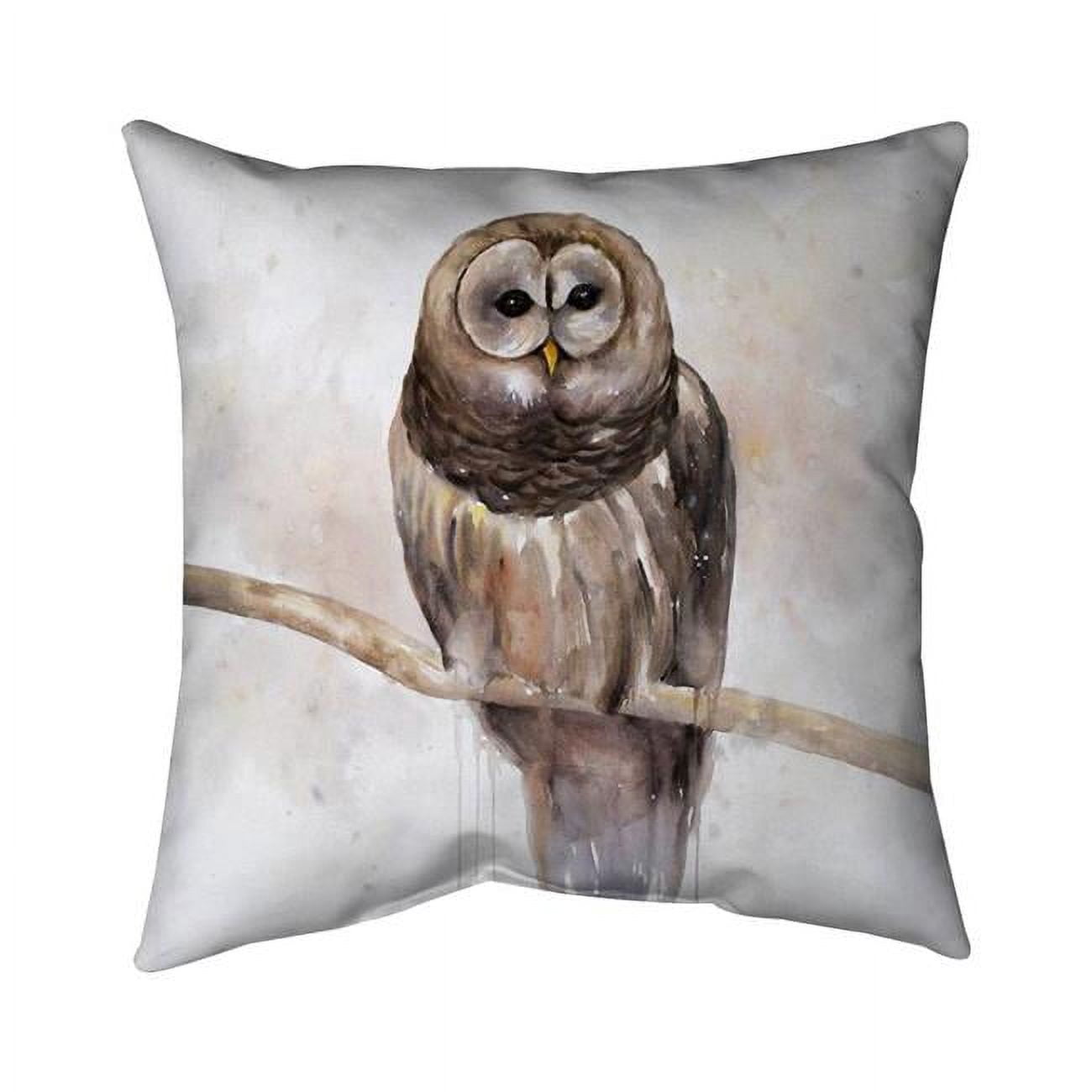 20 x 20 in. Barred Owl-Double Sided Print Indoor Pillow